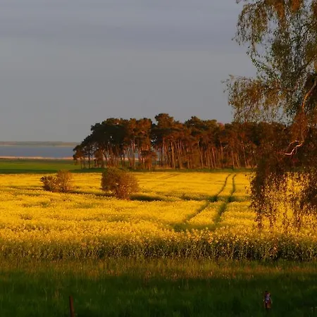 公寓 Appartementhotel Landhof Usedom Stolpe (Ostvorpommern)